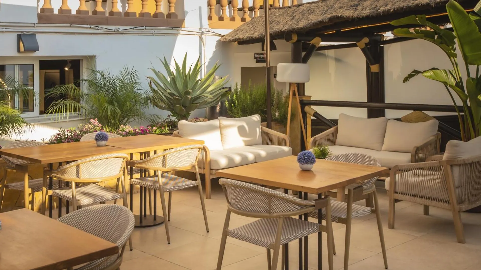 טורמולינוס Hotel Zen Airport